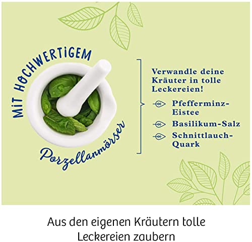 Kräuter-Garten - Image 5
