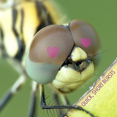 49: His Nameless One: The COVID-19 Calls, Part XXXV (Episode 49)