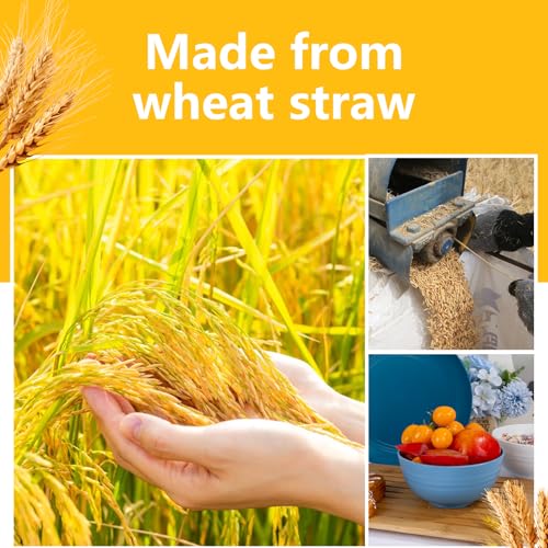 Image of Rubtlamp 16pcs Wheat Straw Dinnerware Set, Unbreakable Plates And Bowls Sets of 4, Plastic Plates Set Reusable (Cold Four Colors) for Camping