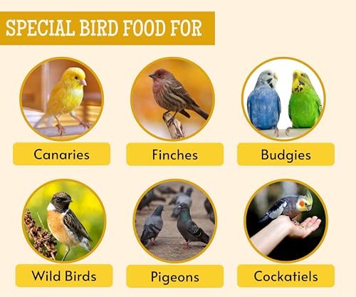 Image of Foodie Puppies Foxtail Millet Kangni Seeds Bird Food - (500gm, Pouch), High-Fiber Balanced Nutritious Daily Diet for All Bird Types