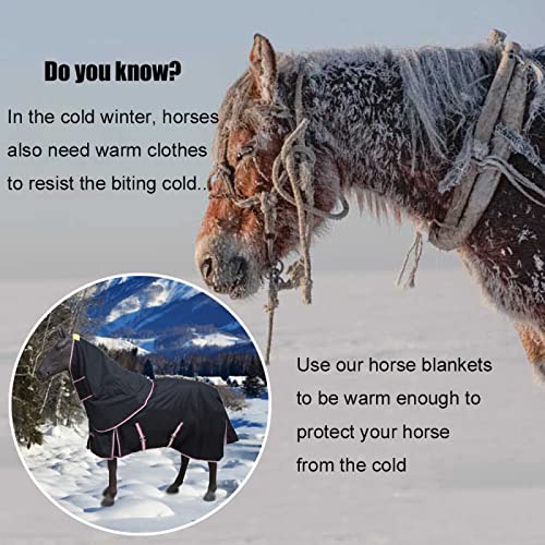 Couverture de cheval d'hiver 600D imperméable et résistante 145cm