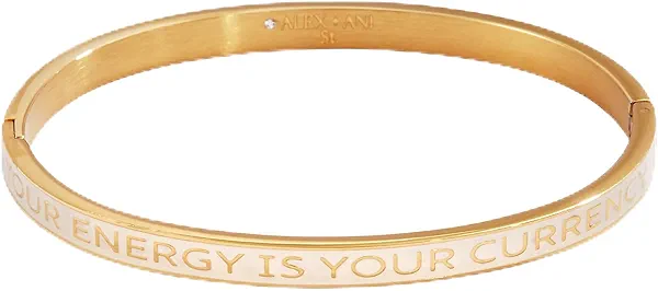 Alex and Ani Your Energy Is Your Currency Enamel Hinge Bracelet:Stainless Steel Gold:White