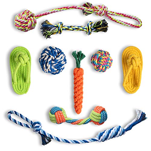 Top 10 Best Chew Toys For Puppies Nz in June 2023