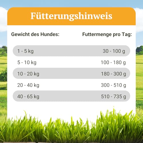 Bellfor Naturgut-Schmaus Hochwertiges Kaltgepresstes Hypoallergenes Trockenfutter für Hunde mit Insekten Getreidefrei Optimal für Ernährungssensible Hunde (4 kg)