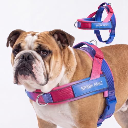 Image of Spark Paws No Pull Front Clip Dog Harness - Easy On, Padded and Lightweight | Two Clips, On in Seconds, Chest Bearing, Australian Style, No Throat Pressure, for Small Medium and Large Breeds