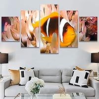 SIGNWIN 5 Panel Canvas Wall Art Group Jellyfish Marine Life Multicolor Photography Realism Tropical Ultra Whimsical for Home Decorations Ready to Hang - 60
