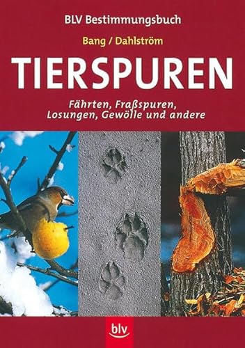 Tierspuren (BLV Bestimmungsbuch)