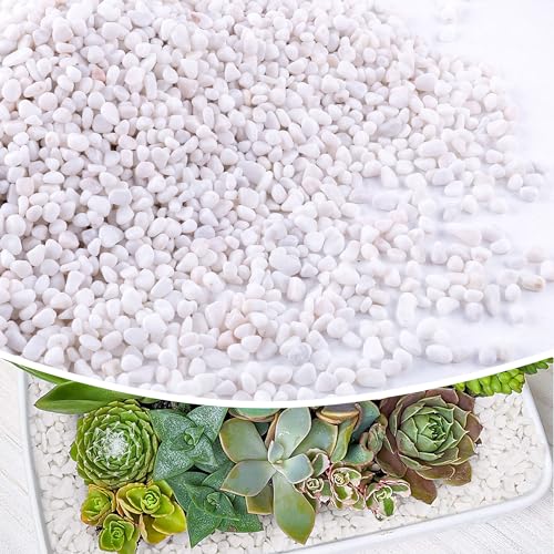 Image of CJGQ 7lb 1 /4 inch Small White Rocks for Plants,Potting,Succulents Aquarium Fish Tank Garden Vases Decorative Pebbles Gravel Rocks Stones