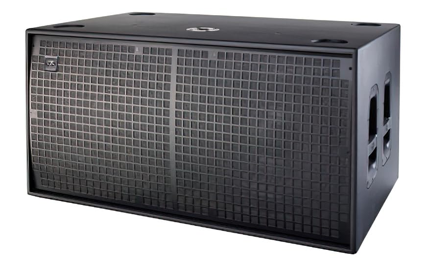 Amazon.com: DAS Audio 10429060 Model EVENT-218A Dual 18