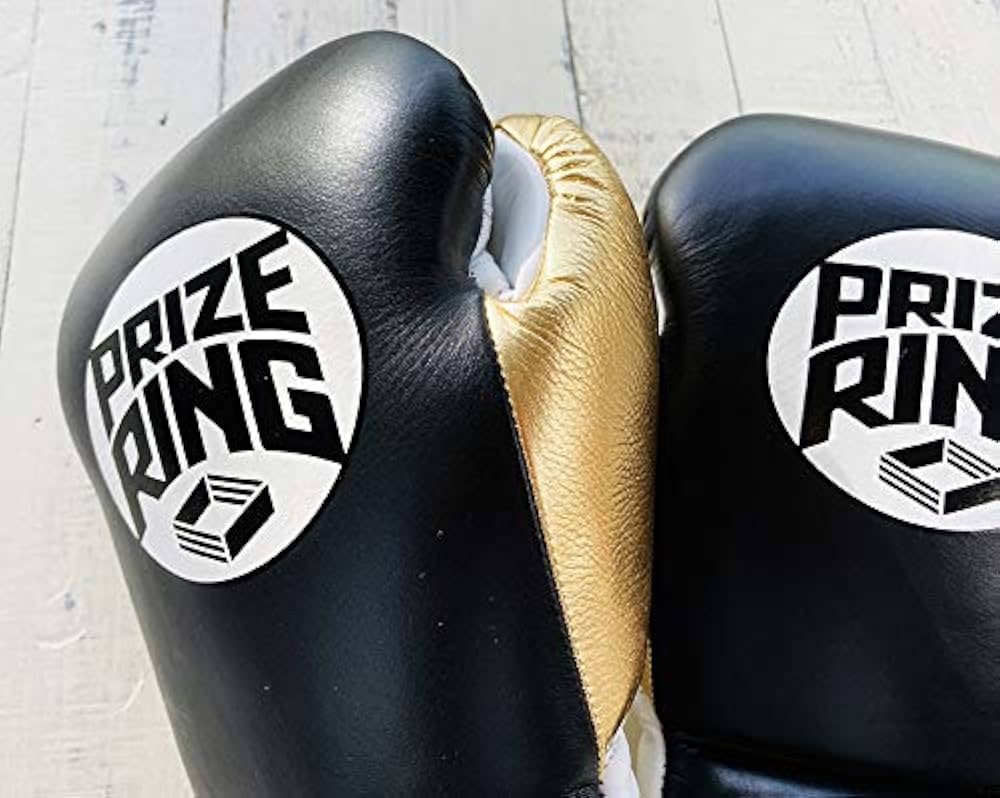 PRIZE RING （プライズリング）ボクシンググローブ 12oz 61lwei-hGgL.jpg_BO30,255,255,