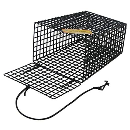 Beau-Mac's Bait Cage for Crab Trap, Green, BEAU19101