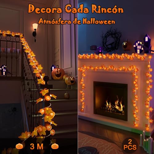 Decoración Exterior, Imagen adicional