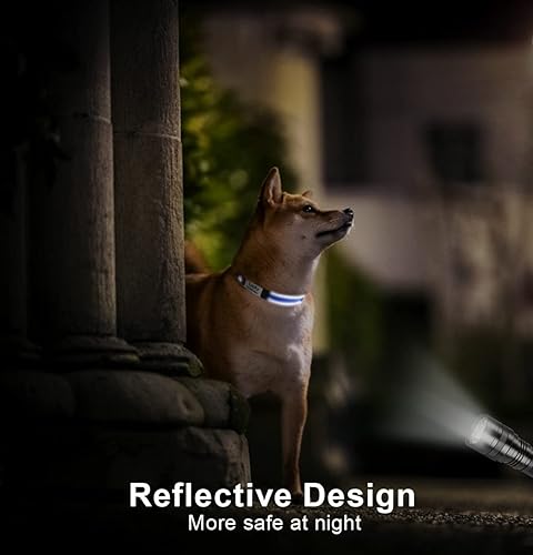 Miniatura 9 de Taglory Collares de perro personalizados para perros pequeños, collar reflectante personalizado con placa de nombre, collar acolchado para mascotas