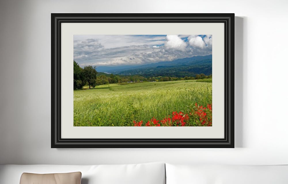 JVERF - JZZF23755 Japan Scenery Fields Nagano Hill Ear Botany| Self-Adhesive Painting | Frameless