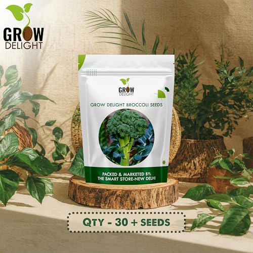 Image of GROW DELIGHT Broccoli (30 Seeds) Exotic Vegetable Seeds for Home Garden, Organic & Hybrid, Perfect for Home Gardening, Planting For Pots and Patio