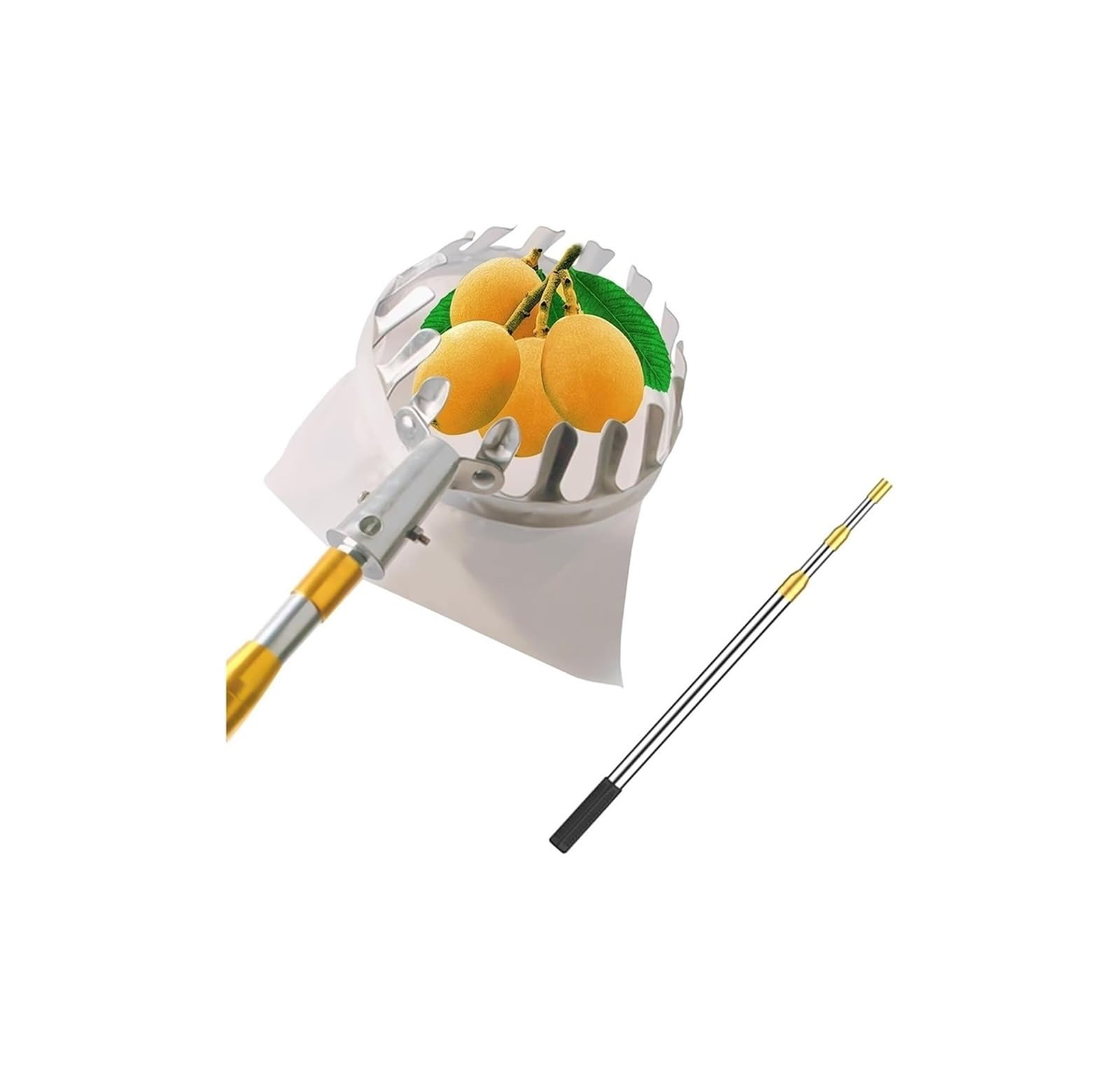 Perche cueille-Fruits, Poteau de cueillette Fruits en Acier Inoxydable, Extensible, Attrape-Fruits for la d'abricots, poires, d'oranges et d'arbres(2.5m)
