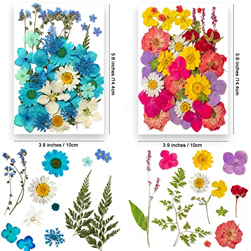 Image of 191PCS Real Nature Dried Pressed Flowers for Resin Mold, Dry Pressing Floral Set for DIY Jewelry Making Nail Card Scrapbook Art Craft Decors Blossom