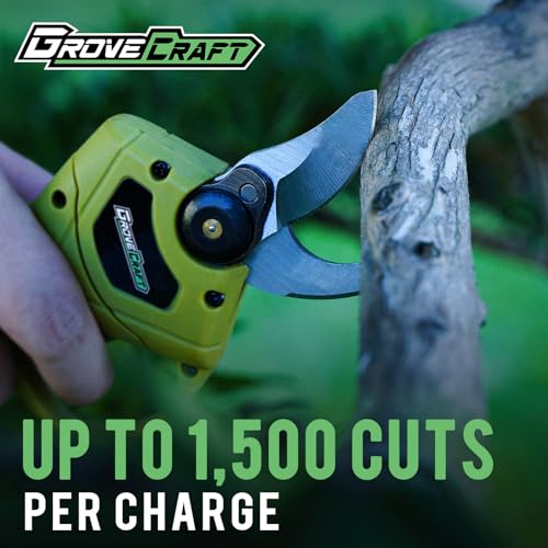 20V 2-in-1 Brushless Pole Pruning Shear, Battery Powered Cordless Electric Pruning, Reach to 13-ft, 1-Inch Cutting Diameter Tree Pruner(Battery and Fast Charger Included)