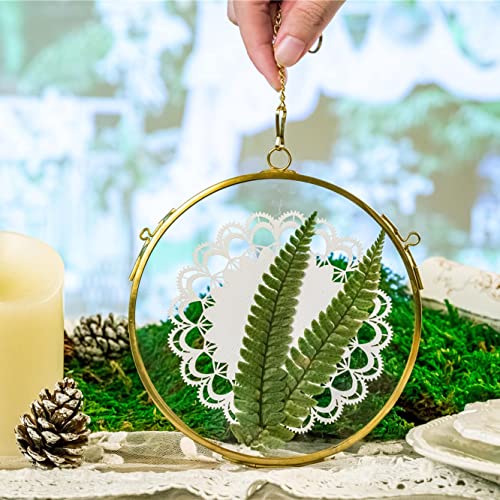 Ncyp 5Inches Small Round Wall Hanging Glass Frame For Pressed Dried Flowers, Pictures Photos, Double Glass Herbarium, Brass Floating Frame (Glass Frame Only) #TOP1