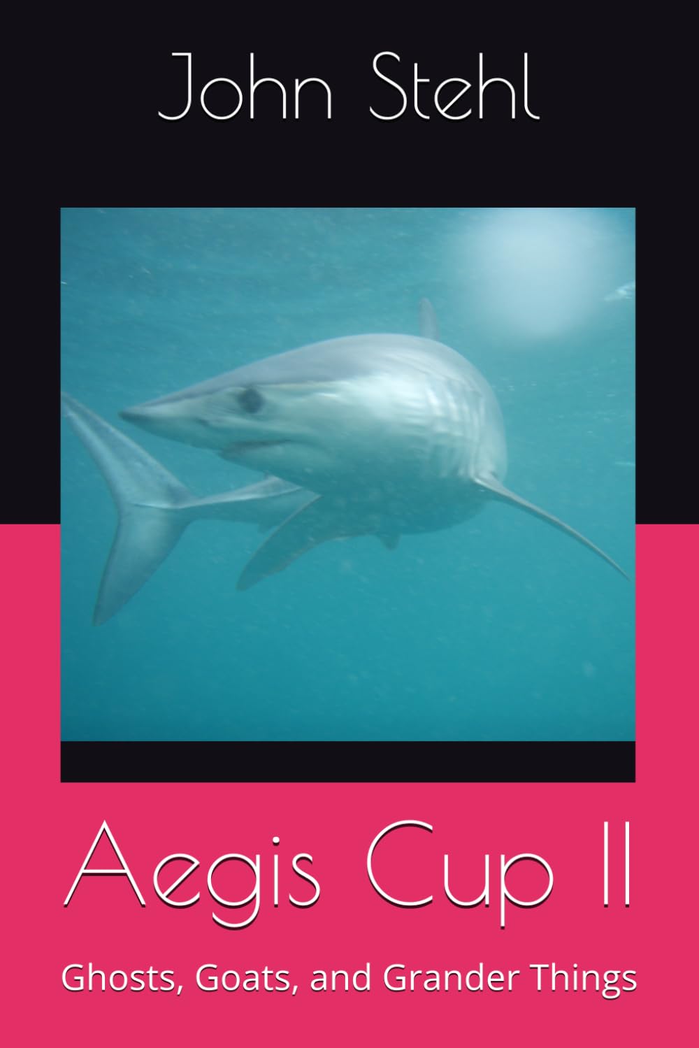 Aegis Cup II: Ghosts, Goats, and Grander Things