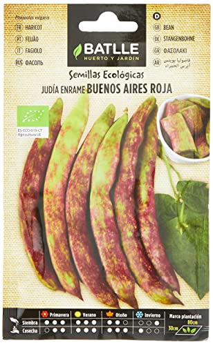 Bio Samen - Rote Rankbohnen Buenos Aires (20-50 Samen - Bio) Bio Samen - Rote Rankbohnen Buenos Aires (20-50 Samen - Bio)