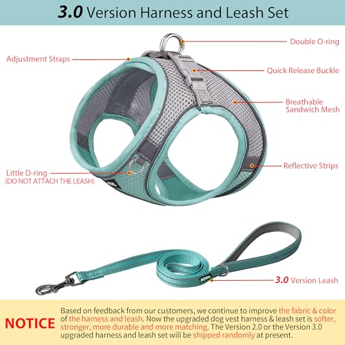 AIITLE Hundegeschirr, No-Pull Katzengeschirr mit Leine, einstellbare reflektierende Hundeweste, Welpengeschirr fluchtsicher, Spaziergang im Freien für extra kleine Hunde und Hauskatzen Türkis XXXS