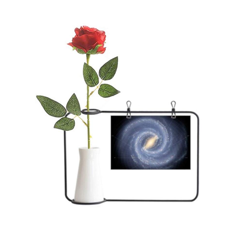 Fleur artificielle à suspendre vase bouteille décoration planète stars