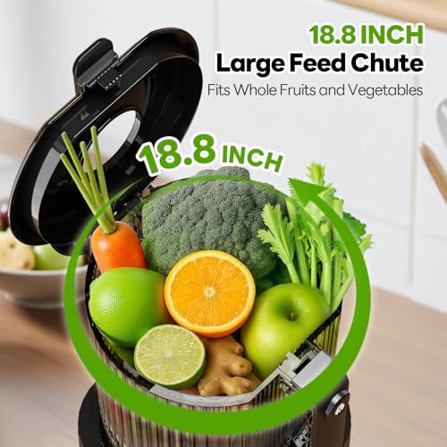 Image of Cold Press Juicer with 3 Filters (For Juice /Sorbet /Nut Milk), Juicer Machines With Wide Mouth Hopper, Self Feeding & Hands-Free Design, Juicer for Family Party, With Pusher, Light Gray