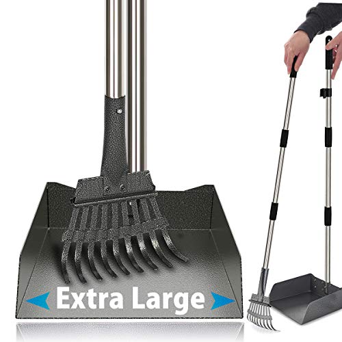 10 Best Out Poop Scoop Handpicked for You in 2022 Best Review Geek