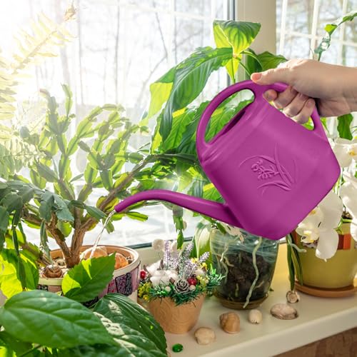Image of Watering Can - for Home Plant Garden - 1 /2 Gallon - Rose Red