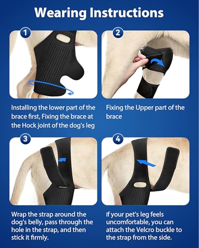Image of Dog Knee Leg ACL Brace - Dog ACL Brace for Front Torn and Back Hind Rear Legs ACL Tear, Dog Leg Brace for Hip Dysplasia, Dog Arthritis, Luxating Patella, Comfortable and Adjustable (XXXL-Size)