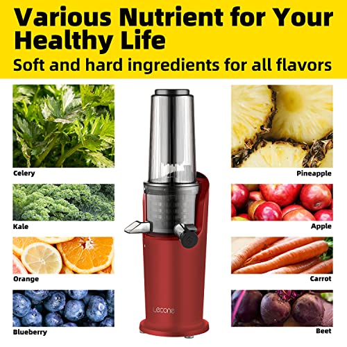 Compact Juicer Machine, Masticating Slow Juicer Easy To Clean Cold Press Juicer With Brush Upgraded Non-Clog Filter With Reverse Function For Celery Ginger Pineapple Fruit And Vegetable (Wine) #TOP5
