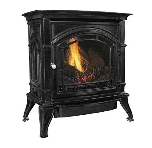 Ashley Hearth AGC500VFBLP Vent-Free Black Enameled Porcelain Cast Iron Stove, 31,000 BTUs (Propane) #1