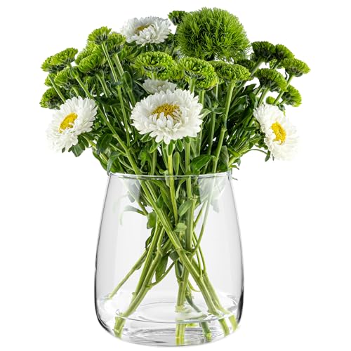 TREND FOR HOME Glasvase groß H: 22,7 cm Vase für Pampasgras Glas, Blumenvase für Pampasgras, Vasen Glas für Hochzeitstulpen Weite Öffnung, Ø 19 cm, Zinnie – Bild 5