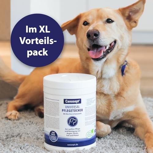 Canosept Universal Pflegetücher für Hunde 160 Stück -Ohrenreiniger Hund, Pfotenpflege Hund, Augenpflege Hund, Fellpflege Hund - Hunde Pflege mit Aloe Vera & Hamamelis - Feuchttücher Hund