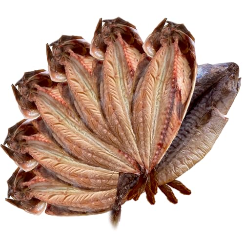 訳あり トロさば干物 どっしり 約1Kg (7枚)/ 約2Kg (14枚)業務用 肉厚 ジューシー 冷凍お届け 1枚あたり約150g BBQ 炉端焼 居酒屋 旅館 静岡県沼津市名産ひもの 沼津海産物協同組合 (1kg)