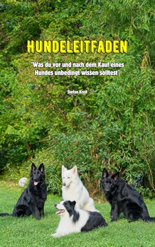 Hundeleitfaden: Was du vor und nach dem Kauf eines Hundes unbedingt wissen solltest