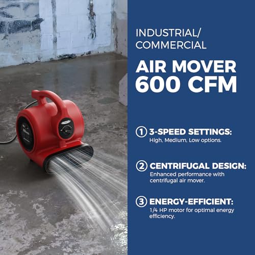 Image of Alorair 2024 New Air Mover Bundle Deal: 600 CFM Air Mover & Stackable 550 CFM Negative Air Scrubber for Indoor Air Quality & Water Damage Restoration (1* GF600A Air Mover, 1*HEPA 550 Air Scrubber)