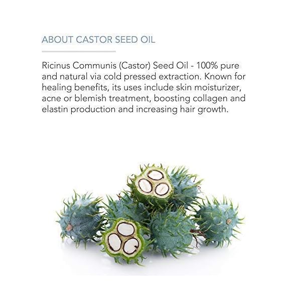 Organic-Castor-Oil-for-Eyelashes-and-Eyebrows-with-Applicator-Kit-Lash-Brow-Growth-Serum-by-Pure-Body-Naturals-1-Ounce-Label-Varies Pure Body Naturals Castor Oil for Eyelashes and Eyebrows - Brow and Lash Growth Serum - Organic Hexane Free Cold Pressed Unrefined - 1 fl oz