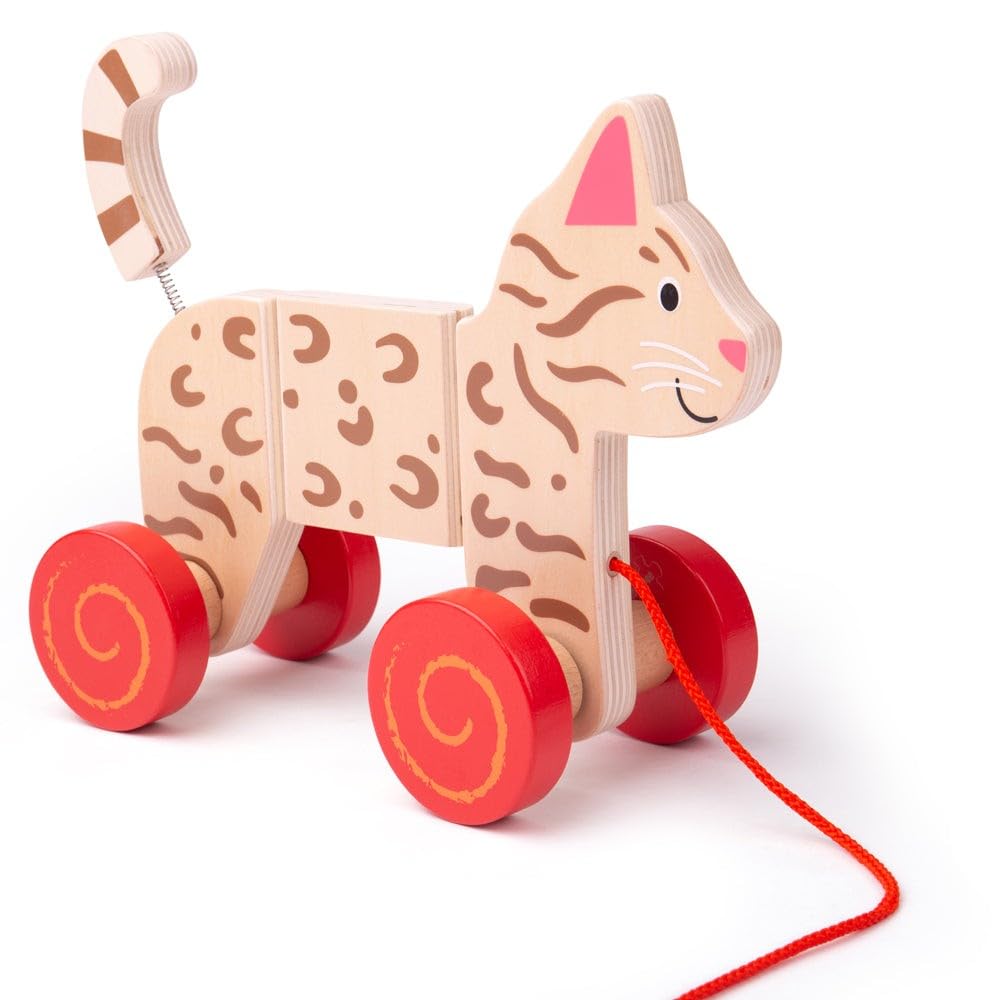 Bigjigs Jouets à traîner (Chat)