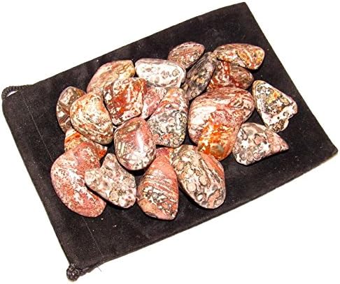 Jaspe de piel de leopardo caído, incluye bolsa de terciopelo - Piezas grandes de 1 pulgada (1 libra)