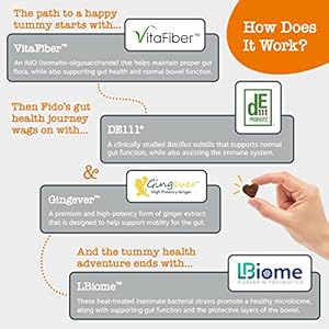 Zesty Paws Probiotics for Dogs – Digestive Enzymes for Gut Flora, Digestive Health, Diarrhea & Bowel Support – Clinically Studied DE111 – Dog Supplement Soft Chew for Pet Immune System – VS, 90 Count