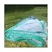 GDMING Telone Trasparente, Impermeabile Robusto 0,3 Mm Vinile Tarp con Anello di Tenuta Ombra Plastica Tenda Panno per Tende da Sole, 30 Taglie (Color : Chiaro, Size : 0.8x1.5m)