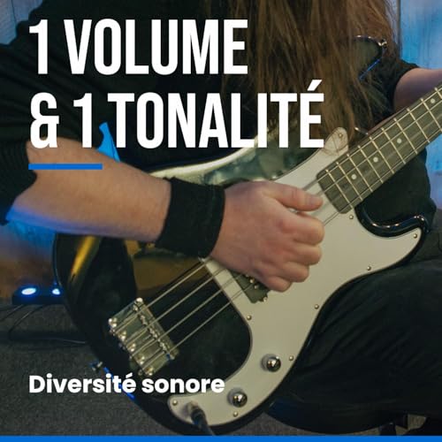 Woodbrass PB100 Sunburst E-Bass – vielseitige Bassgitarre ideal für Anfänger, PB-Form, Eschenform, Ahorn, Griffbrett, Rock-Stil, Pop, Funk, Blues, Hard, Jazz