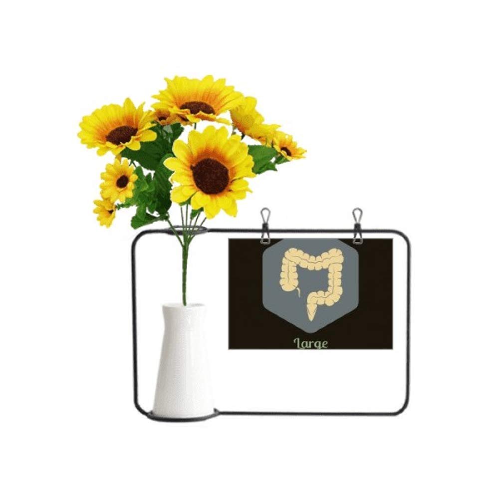 Carte de bénédiction pour l'intestin et vase de tournesol contre la morosité