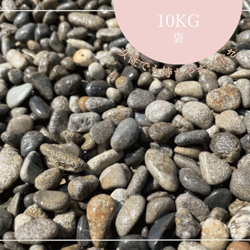 YEVR݂͂܁ilj10kg 2E3E4 K[fjO// (ubN, 25?7mm)