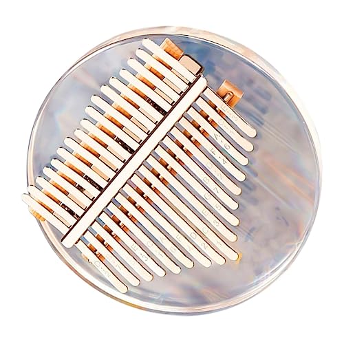 Vaguelly 鍵ミニカリンバ 透明アクリル製フィンガーピアノ 初心者向け小型楽器 指弾き式サムピアノ 収納ボックス付き