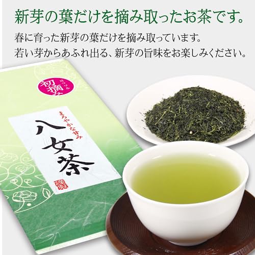 トップスマイル 八女茶 深蒸し煎茶 100g