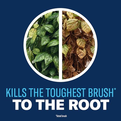 Image of BioAdvanced Brush Killer Plus Concentrate - Mix & Spray - Kills Tough Brush like Poison Ivy and Kudzu - Visible Results in 1-6 Weeks - Rainproof in 4 Hours - 32 fl oz Bottle