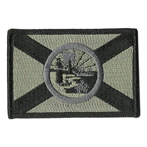 Florida Tactical Flag Patch